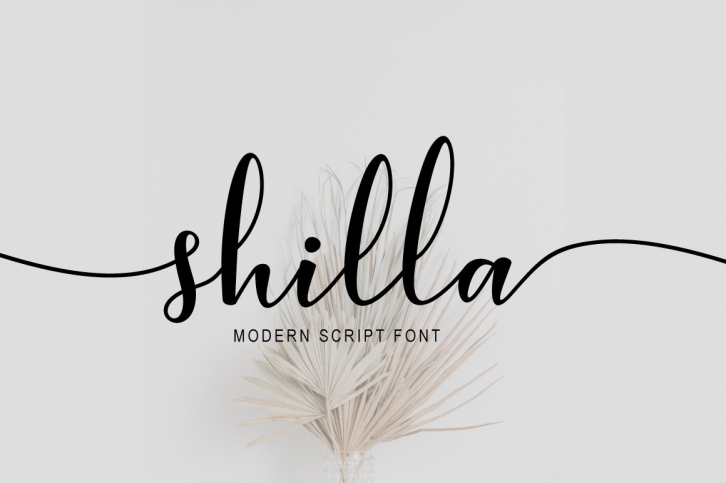shilla Script Font Download