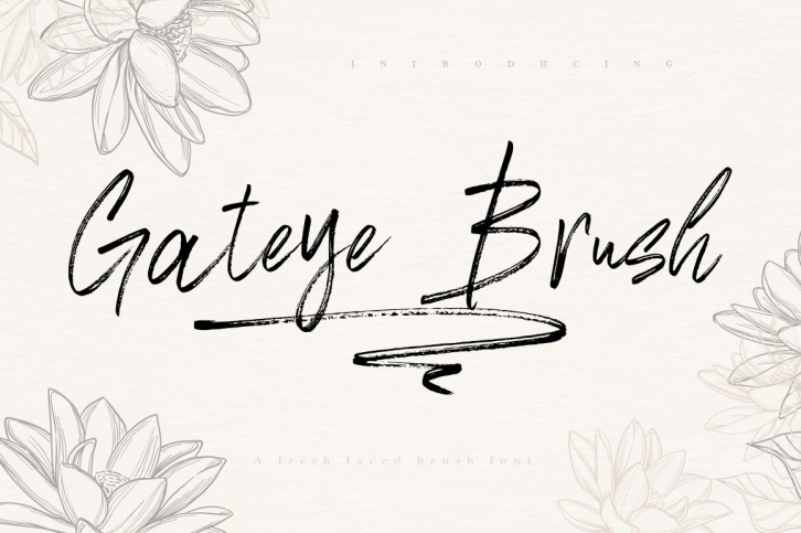 Gateye Brush Font Font Download