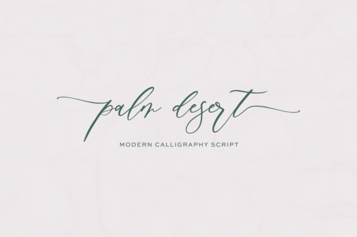 Palm Desert Calligraphy Font Font Download