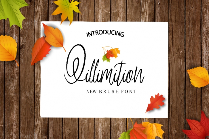 Qillimition Script Font Font Download
