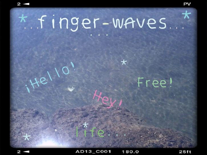 Finger waves Font Download