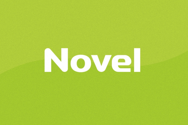 Novel Wordmark Font Font Download