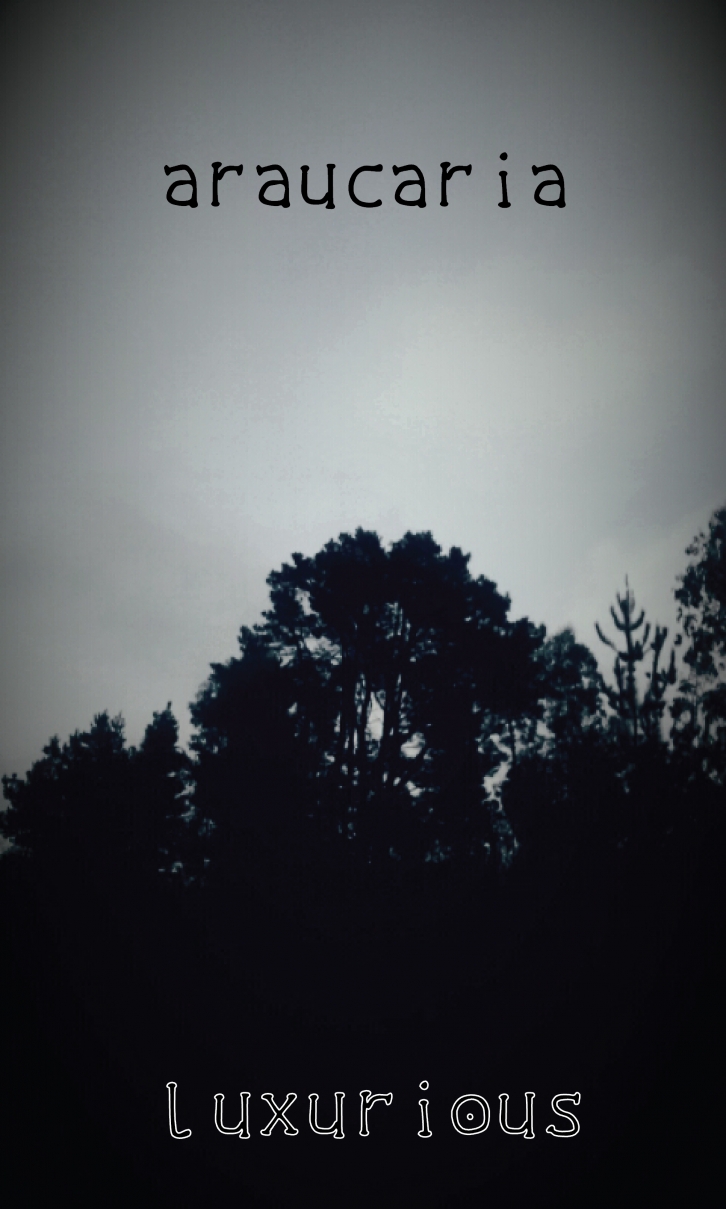 The luxurious dark Font Download