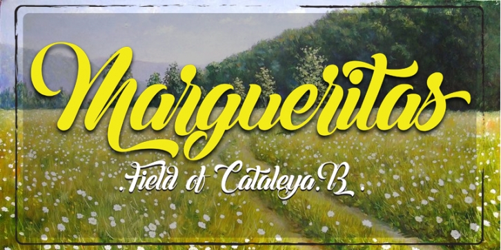 Margueritas Font Download