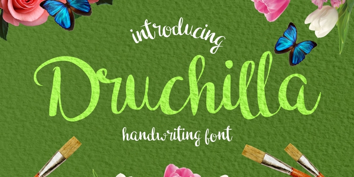 Druchilla Font Download