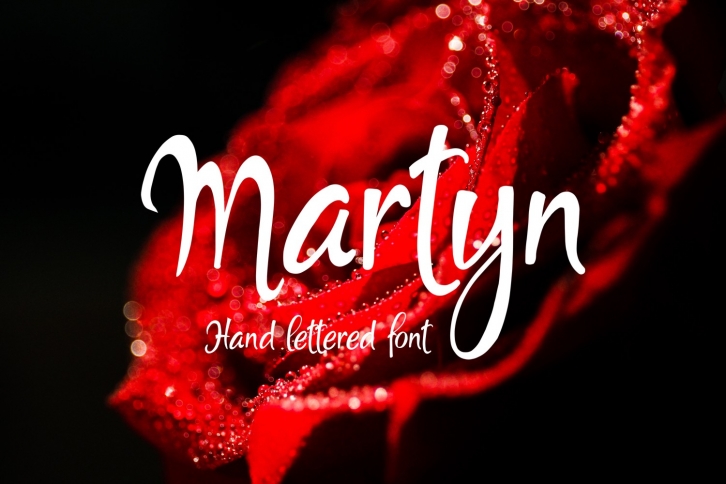 Marty Font Download