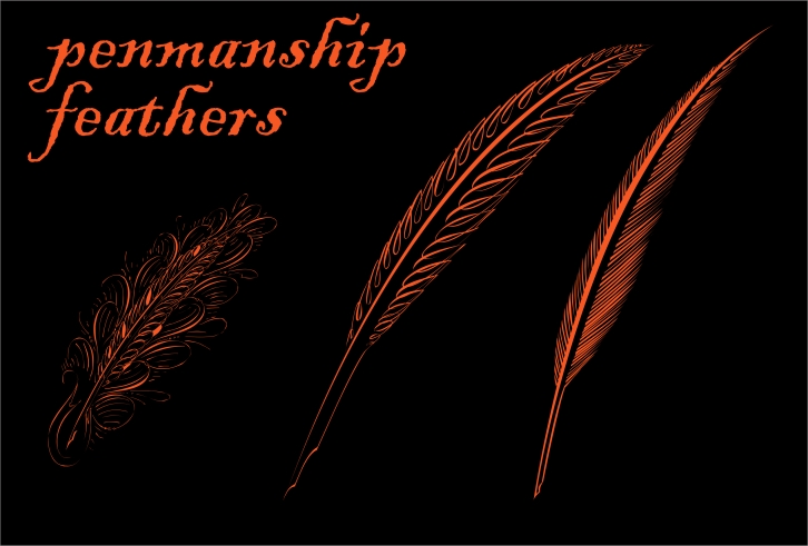 Penmanship Feathers Font Download