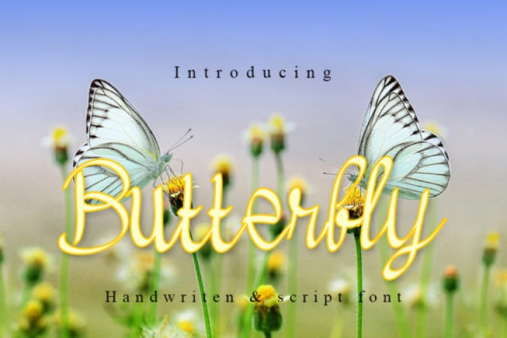 Butterfly Font Download