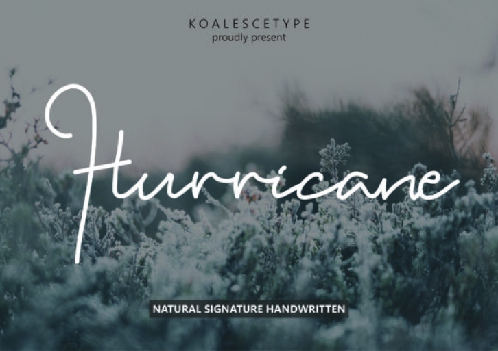 Hurricane Font Download