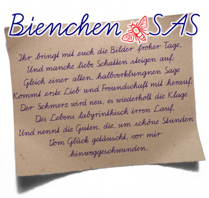 Bienchen SAS Font Download