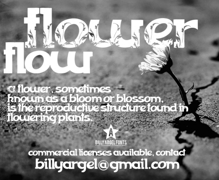 FLOWERFLOW Font Download