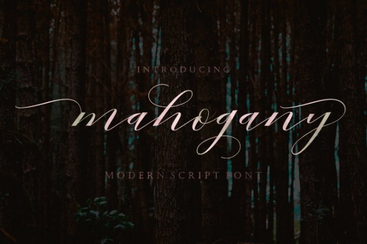 Mahogany Script Font Download