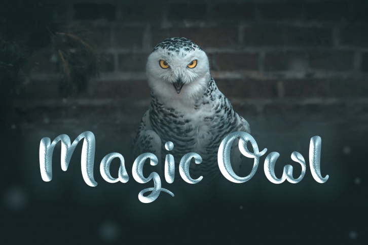 Magic Owl - A nostalgic Typeface Font Download