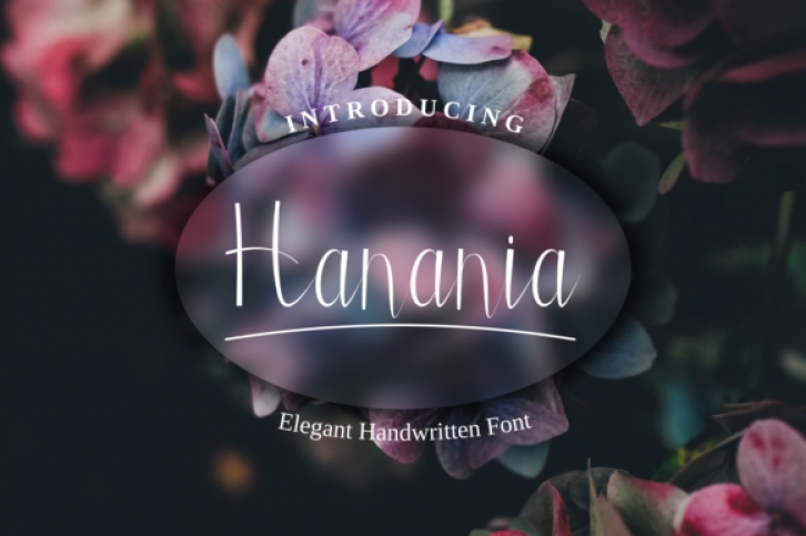 Hanania Font Download