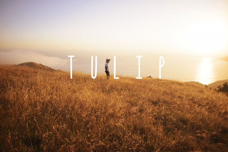 Tulip Font Download