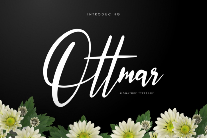 Ottmar - Handwritten font Font Download