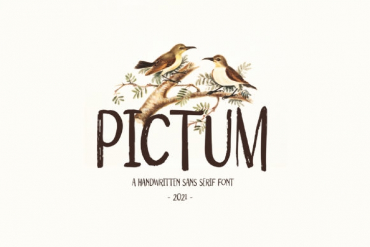 Pictum Font Download