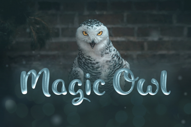 Magic Owl Font Download