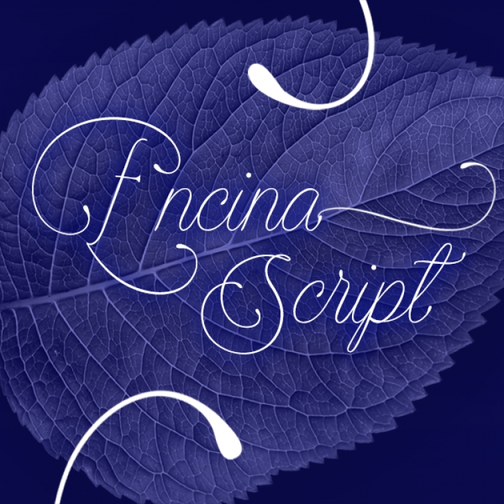 Encina Scrip Font Download