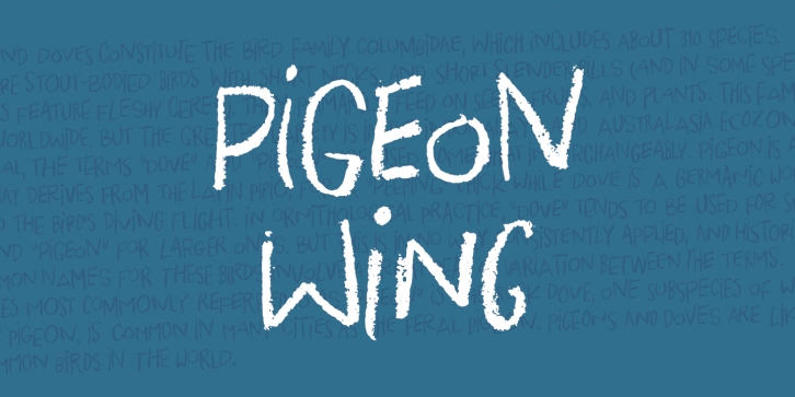 Pigeon Wing DEMO Font Download
