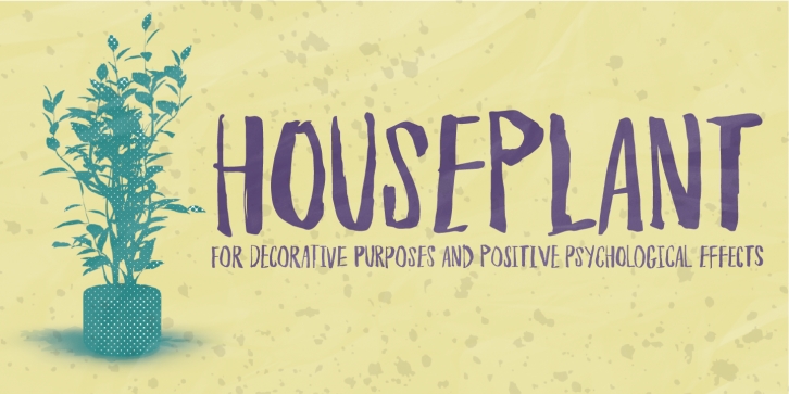 Houseplant DEMO Font Download