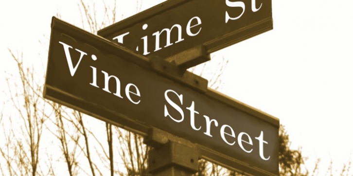 Vine Street Font Download