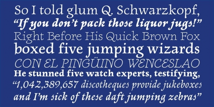 Newt Serif Font Download