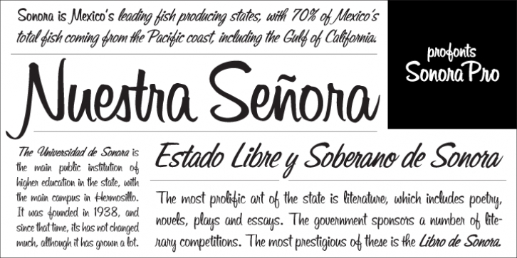 Sonora Font Download