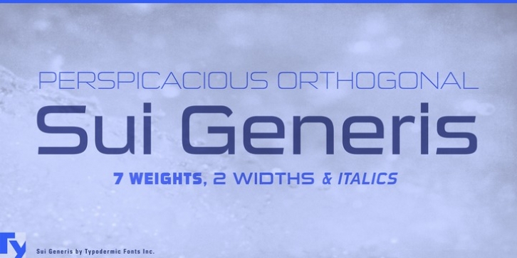 Sui Generis Font Download