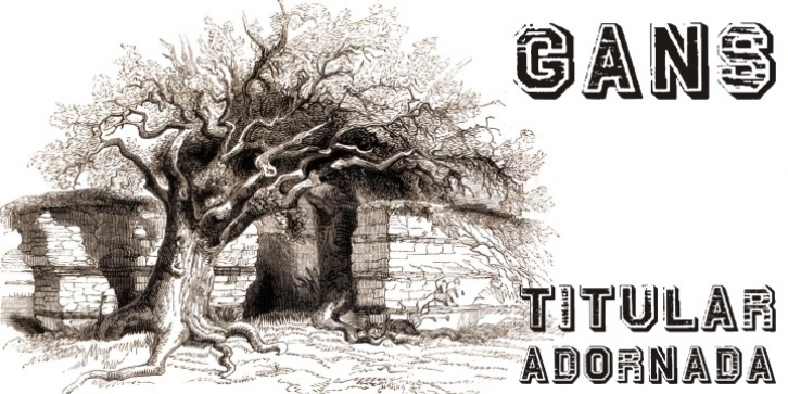 Gans Titular Adornada Font Download