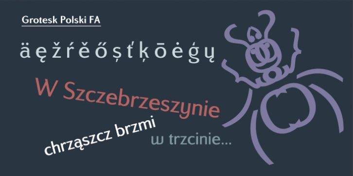 Grotesk Polski FA Font Download