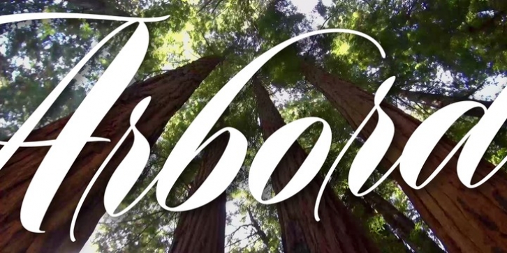 Arbordale Font Download
