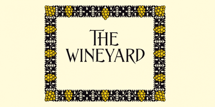 ASTYPE Ornaments Wine Grape A Font Download