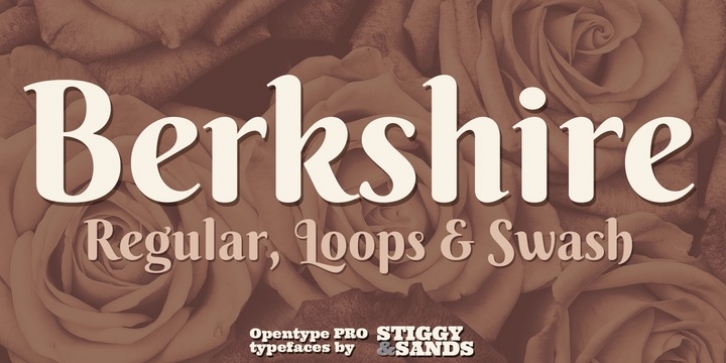 Berkshire Pro Font Download