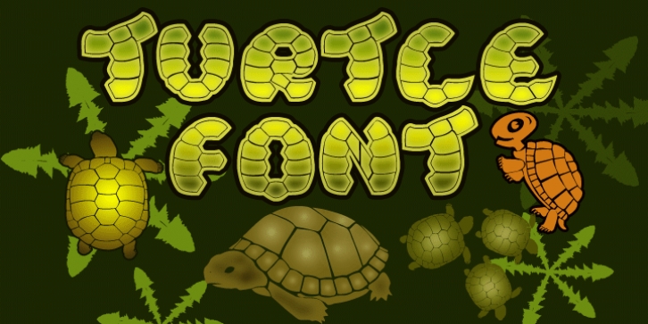 Turtle Font Download