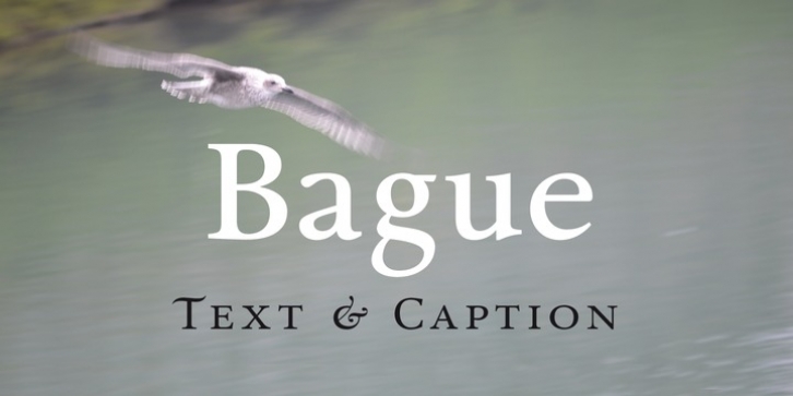 Bague Font Download