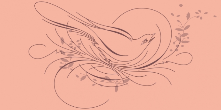 Calligraphic Birds Font Download