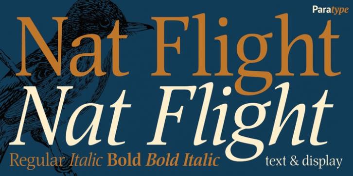 Nat Flight Font Download
