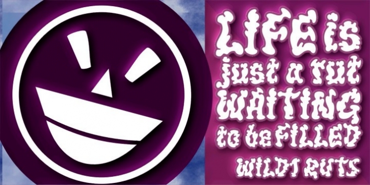 WILD1 Ruts Font Download