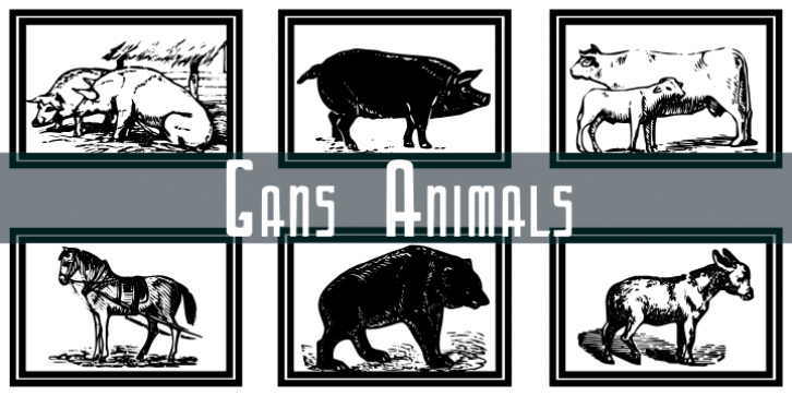 Gans Animals Font Download