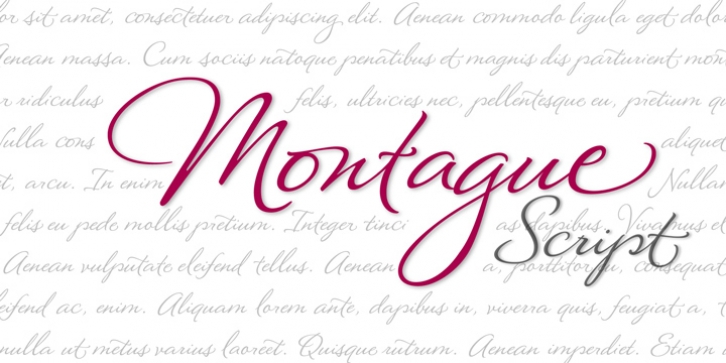 Montague Script Font Download