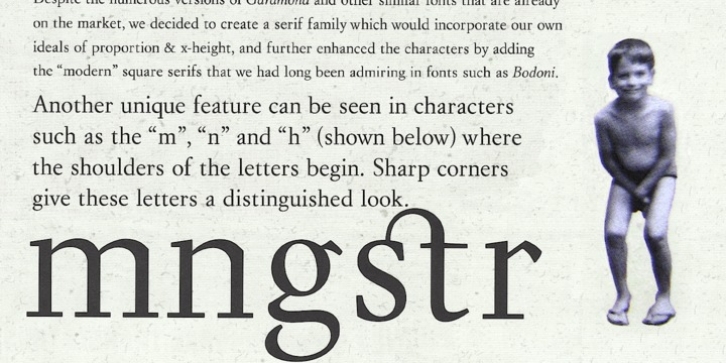 Steinburg Modern Font Download