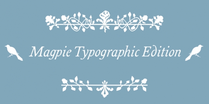 Magpie Typo Font Download