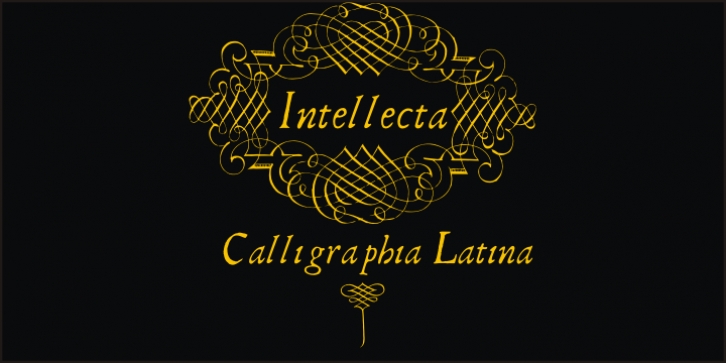 CalligraphiaLatina Font Download