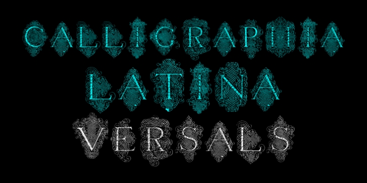 Calligraphia Latina Versals Font Download