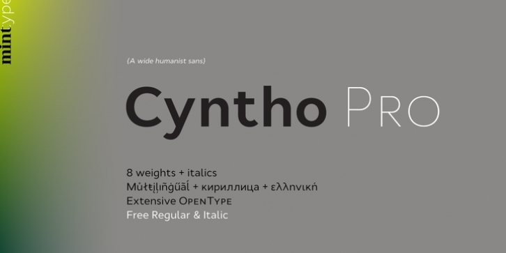 Cyntho Pro Font Download