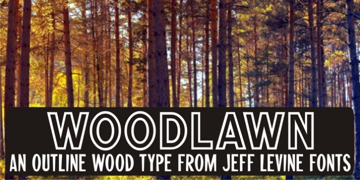 Woodlawn JNL Font Download