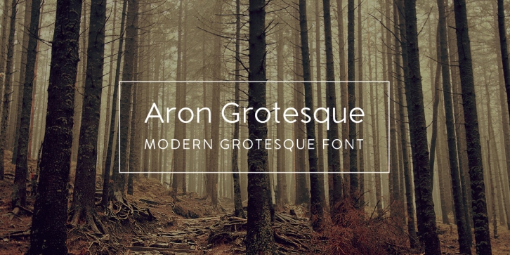 Aron Grotesque Font Download