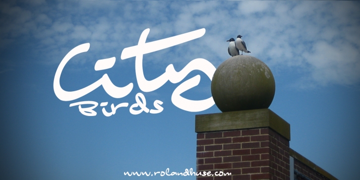 City Birds Font Download