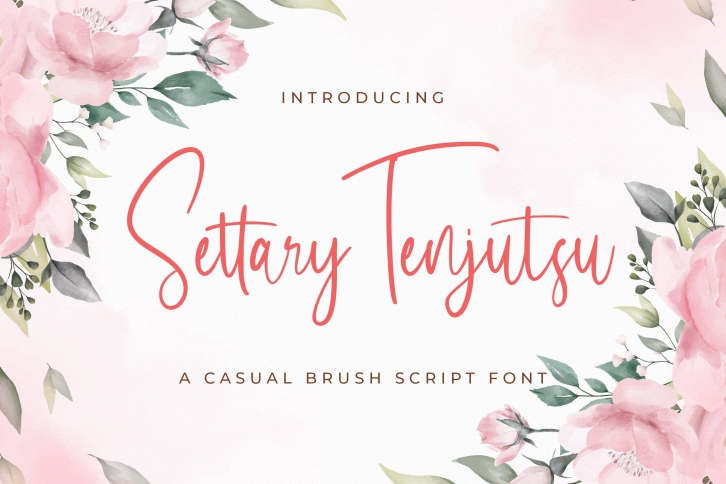 Sabeny Betranss - Handwritten Font Font Download